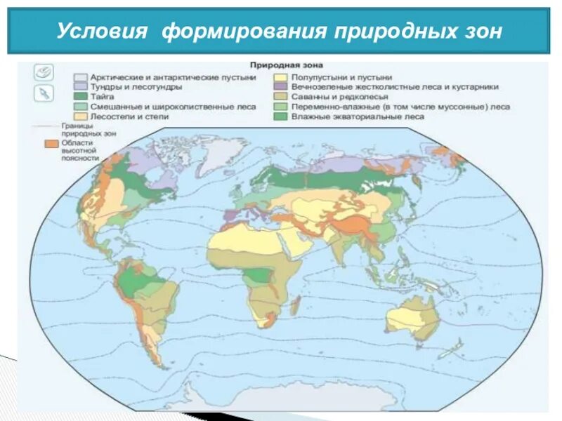 Что влияет на формирование природных зон. Условия формирования природных зон. Природные зоны условияфорсирования. Схема природных зон.