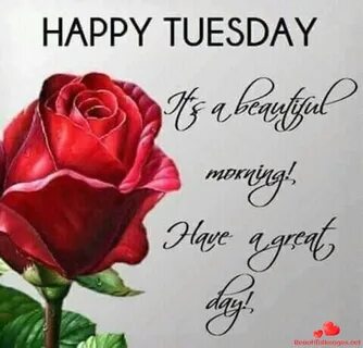 Tuesday Blessings Quotes Whatsapp.