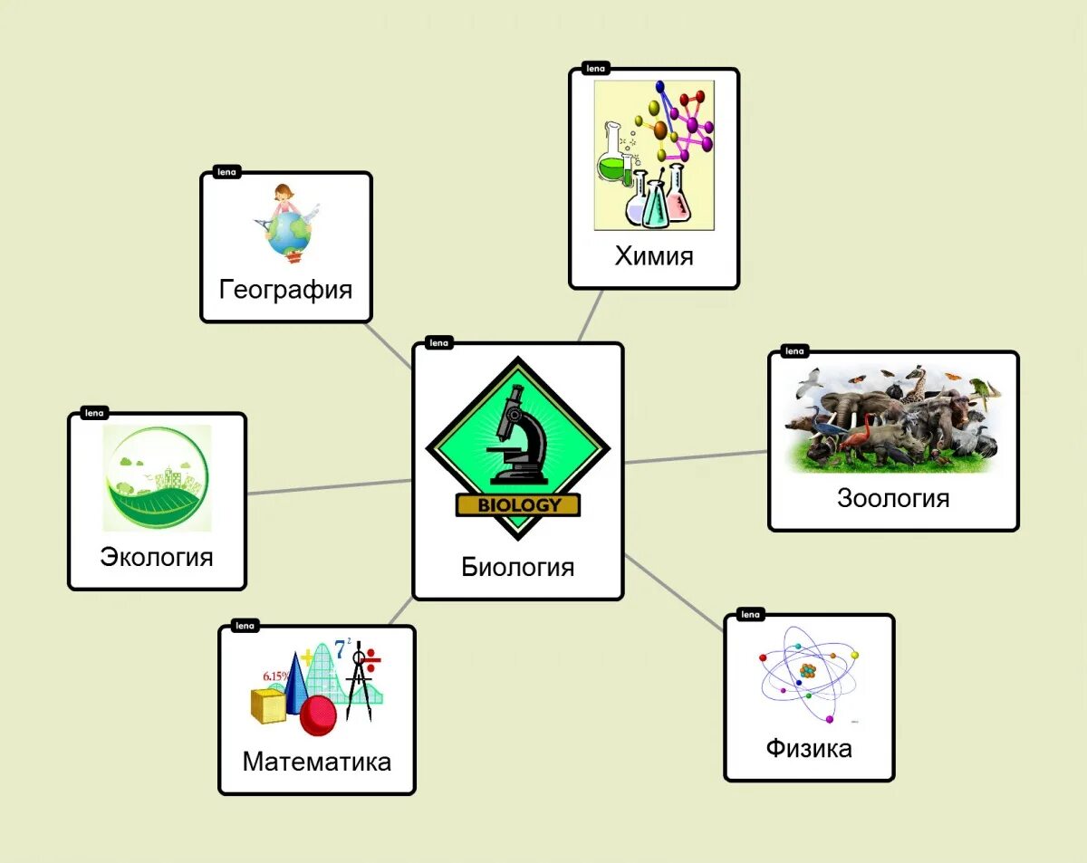 Математика в географии примеры. Связь биологии с другими науками. Связь биологии с другими естественными науками.. Схема взаимосвязь биологии с другими науками. Взаимосвязь химии и биологии.