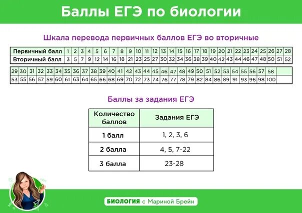 Шкала баллов ЕГЭ по биологии 2022. Баллы по ЕГЭ по биологии. Перевод баллов ЕГЭ биология. Баллы ЕГЭ биология.