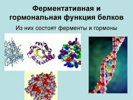Ферментативная