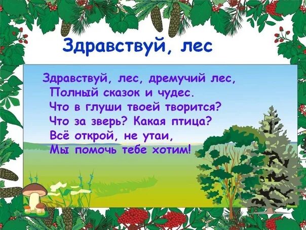 Стихи о лесе. Стихи про леса. Стихотворение про лес. Стихи про Лис.