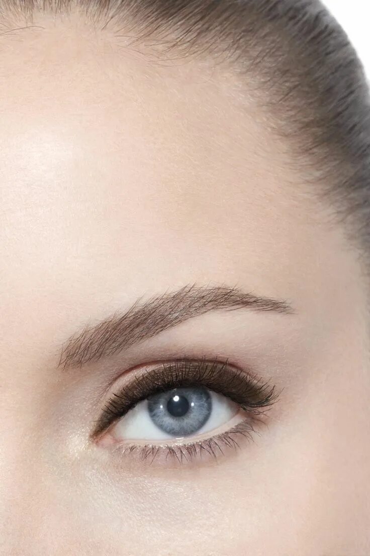 Le yeux