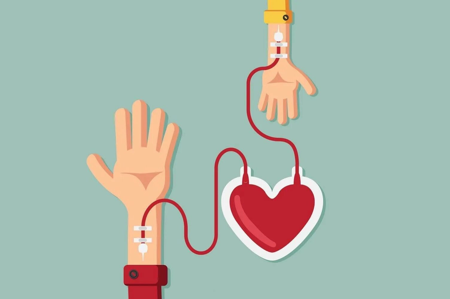 Что такое донация. Донорство крови. Донорство картинки. Донорство крови картинки. Донорство презентация.