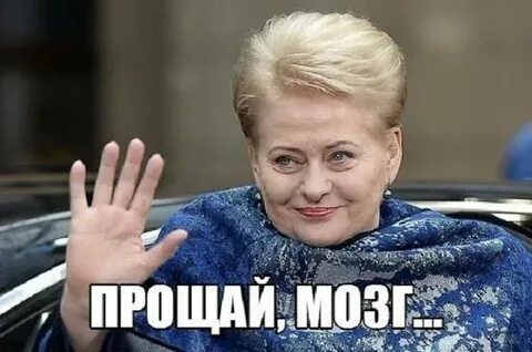 Мозги извините