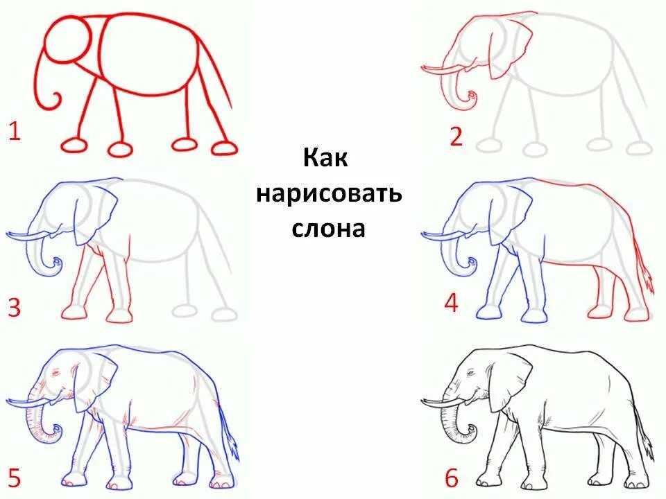 Уроки рисования для начинающих поэтапно. Поэтапное рисование. Как рисовать слона. Поэтапные рисунки. Поэтапные рисунки для детей.