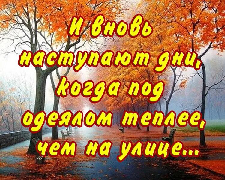 Осень цитаты красивые. Красивые фразы про ноябрь. Скоро осень. Статус про последний день осени. Сентябрь кончаться