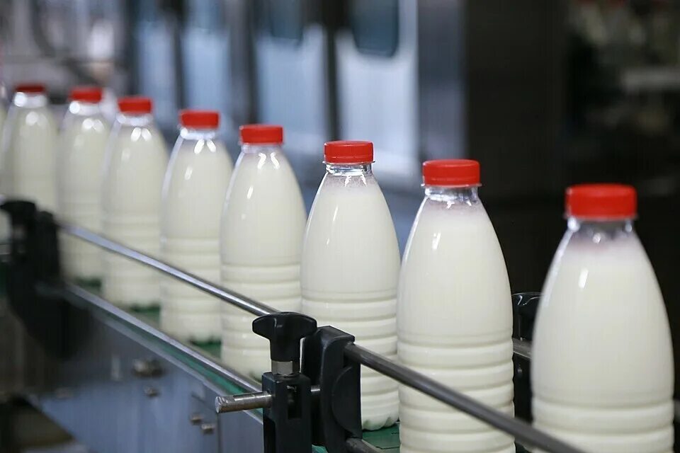 Молочная продукция. Производители молока. Производители молочных продуктов. Торговля молочной продукцией. Разлив молока в бутылки