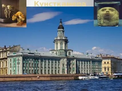 Музей кунсткамера история