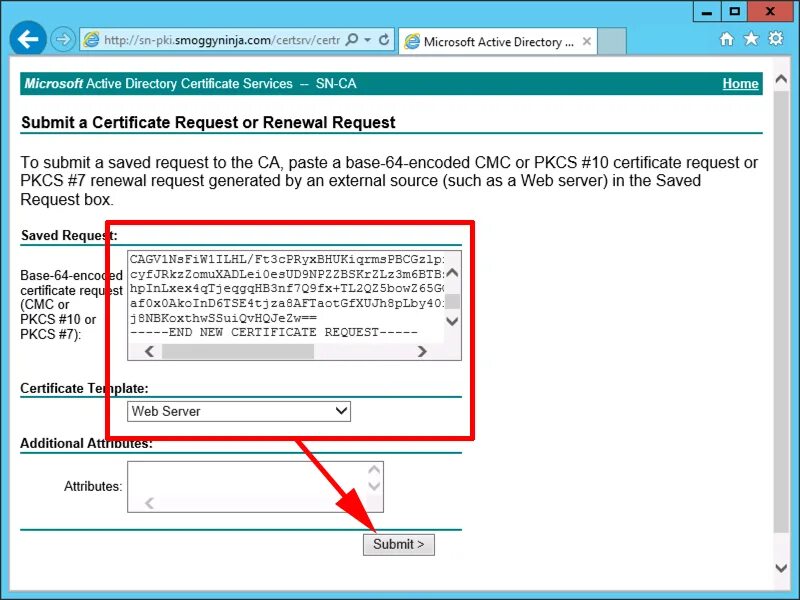 Wildcard-сертификат. Certsrv запрос сертификата. Как выглядит Wildcard Certificate. В формате PKCS#7).