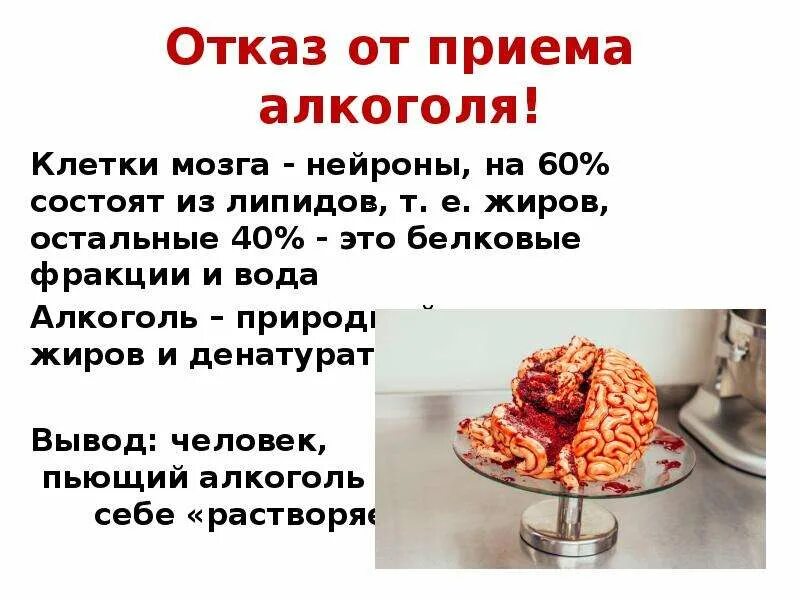 Из чего состоит мозг состав. Мозг состоит из жира. состав мозга человека жир. мозг на 60% состоит из жира. из чего состоит мозг человека из жира.