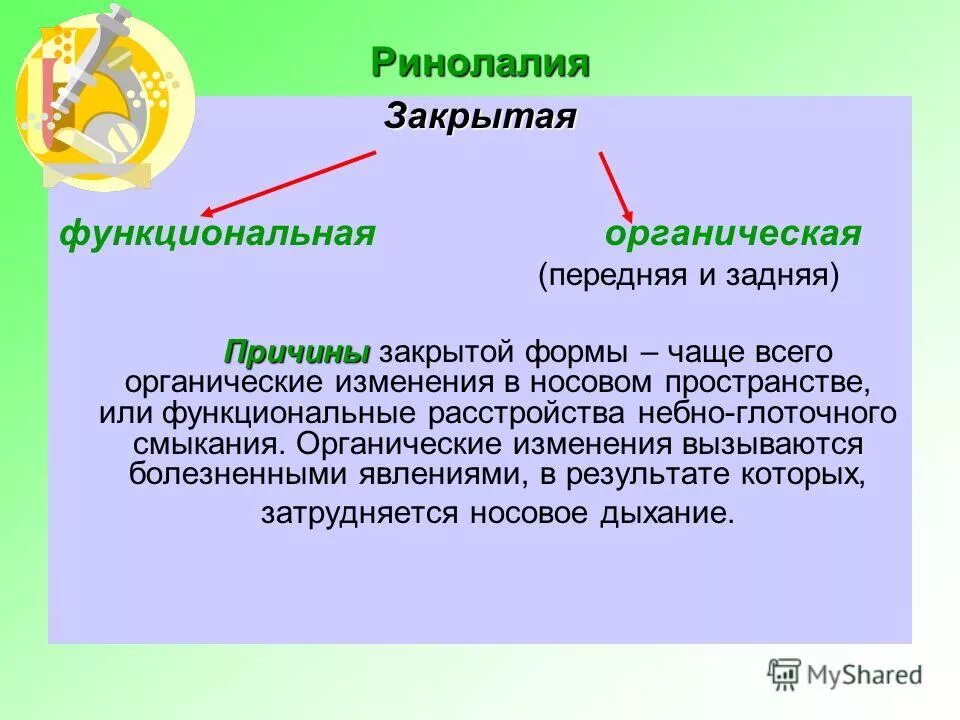 Ринолалия тест с ответами. Ринолалия тест с ответами. Ринолалия тест с ответами. Сравнительная таблица ринолалии и ринофонии. Ринолалия тест с ответами.