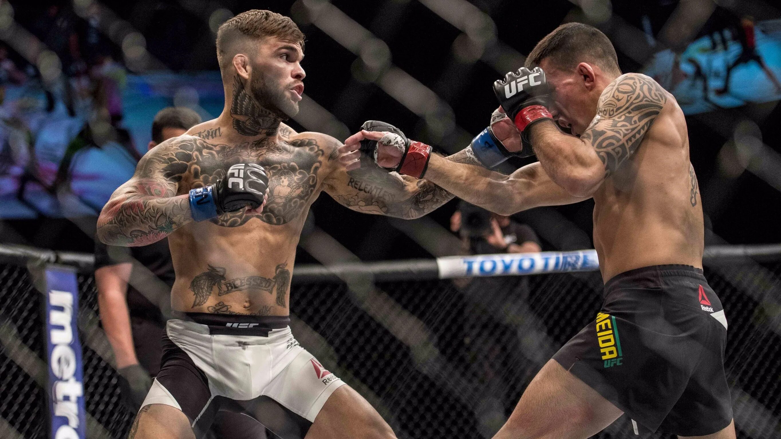 Прогнозы на юфс сегодня. Боец Cody Garbrandt. UFC Cody Garbrandt. Коди Кобрайн UFC. Боец ММА Коди Гарбрандт.