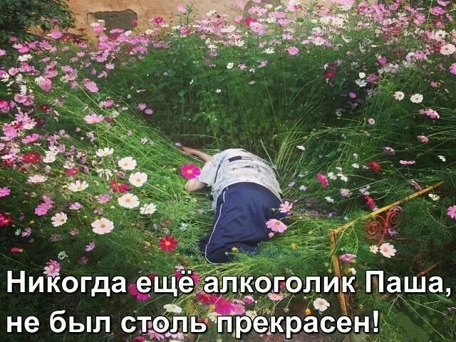 Паша смешные видео фото