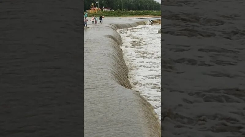 Переполненные пляжи анапы 2023. Витязево чс положение. Наводнение в анапе сейчас. Анапа водоросли на пляже. Витязево анапа пляж 2020 август.