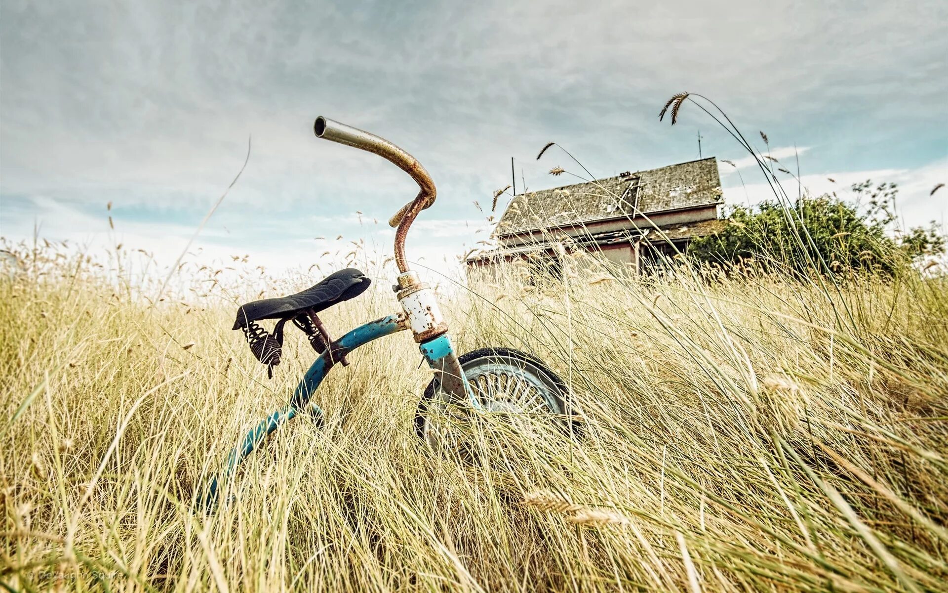 Выкаченный велосипед. Деревенский велосипед. Сельский велосипед. Велосипед в поле. Велосипед в деревне.