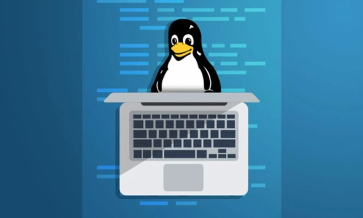 Администрирование linux курсы. Администрирование linux. администратор linux. админ linux. программирование мультиков.