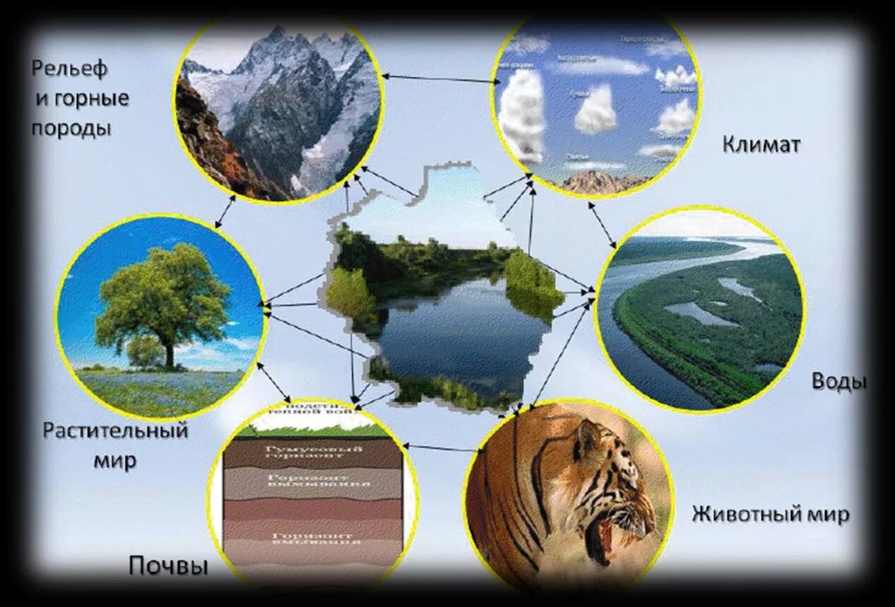 Природные компоненты ландшафта. Схема природного комплекса. Ландшафт природно территориальный комплекс. Компоненты природного комплекса.