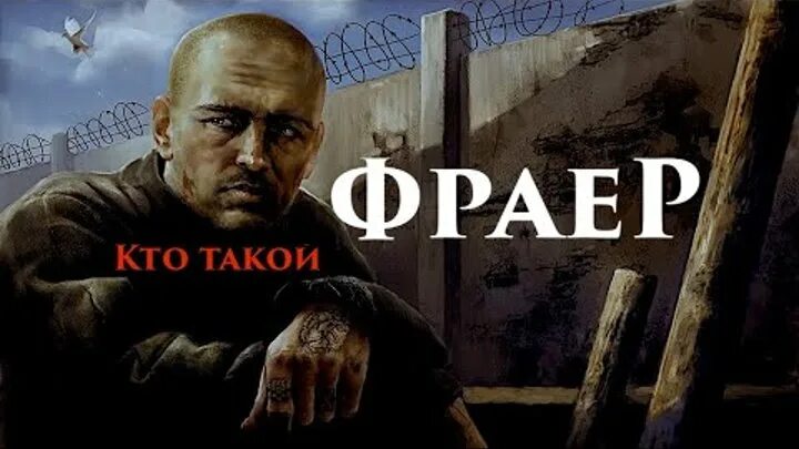 Фраер. Фраер картинки. Кто такие фраера. Вася фраер. Про фраера