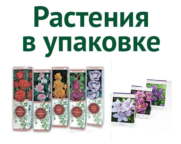 агрофирма поиск каталог 2024 года на весну