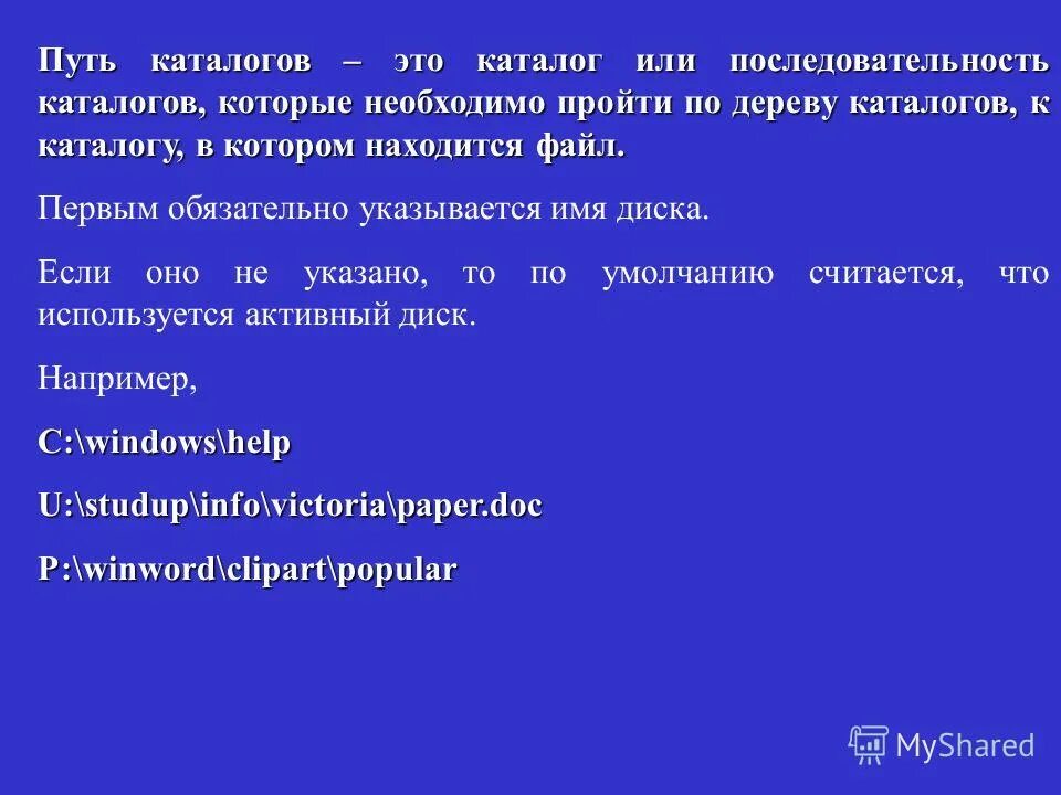 полный текст программы