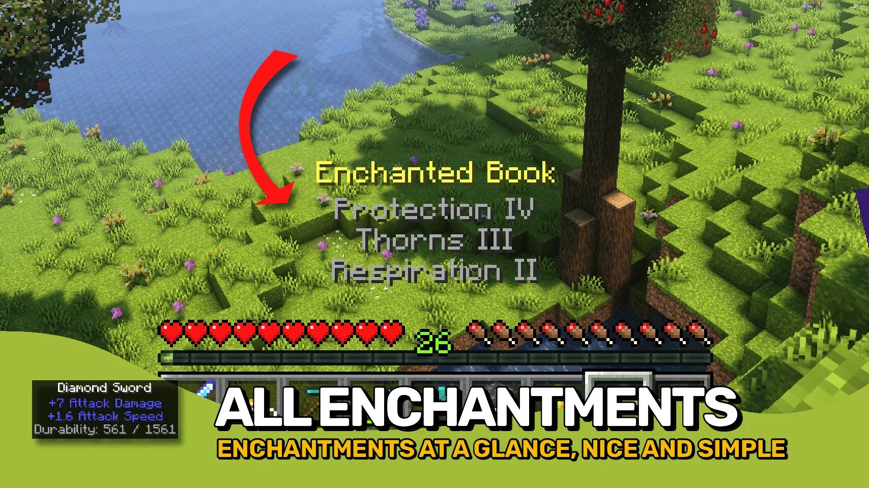 Held item info
