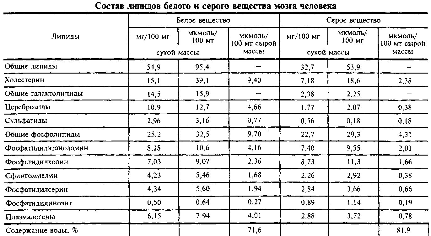 Из какого вещества состоят мозги