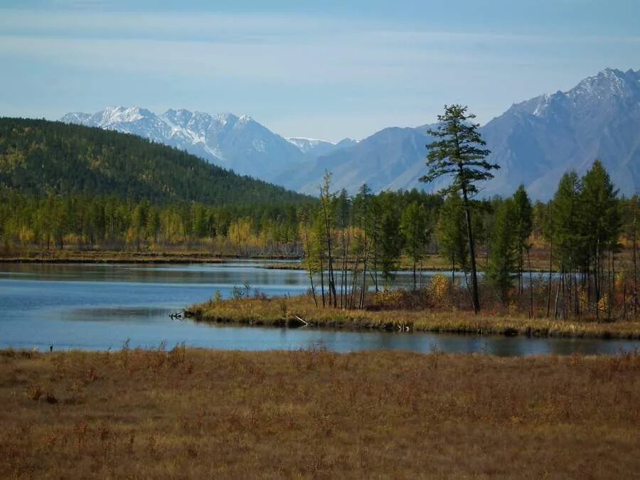 Погода в чаре каларский. Чара Каларский район. Каларский раон Куанда горы. Село Чара Забайкальский край. Каларский район Забайкальского края.