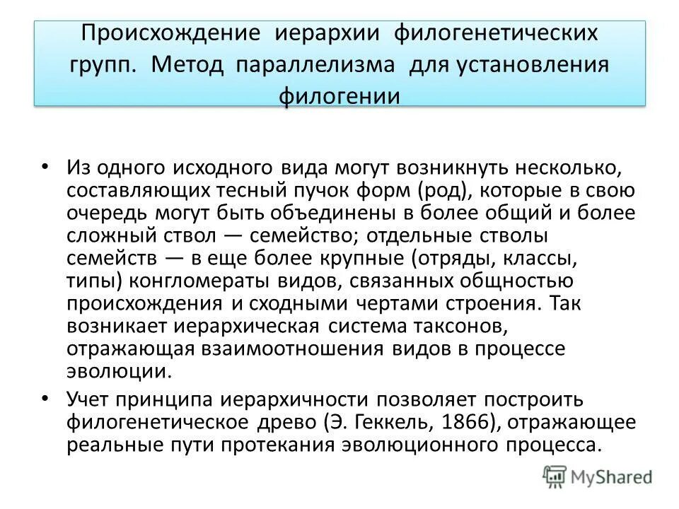 Виды общественных отношений. Может возникнуть по нескольким. Общественные отношения. Опасные ситуации на улице. Ролевой конфликт это в обществознании.