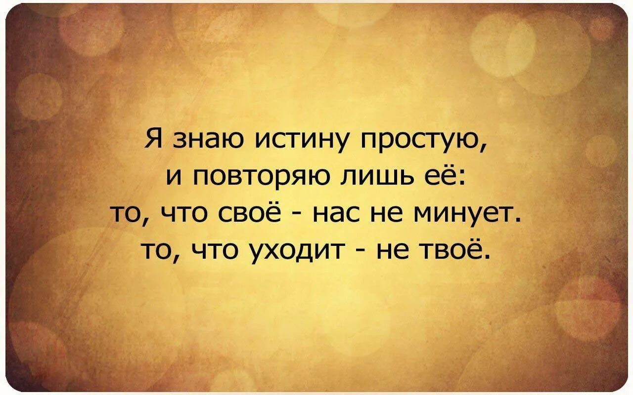 Живи учись любить. Высказывания про ошибки. Цитаты про ошибки. Высказывания про ошибки в жизни. Цитаты про ошибки в жизни.