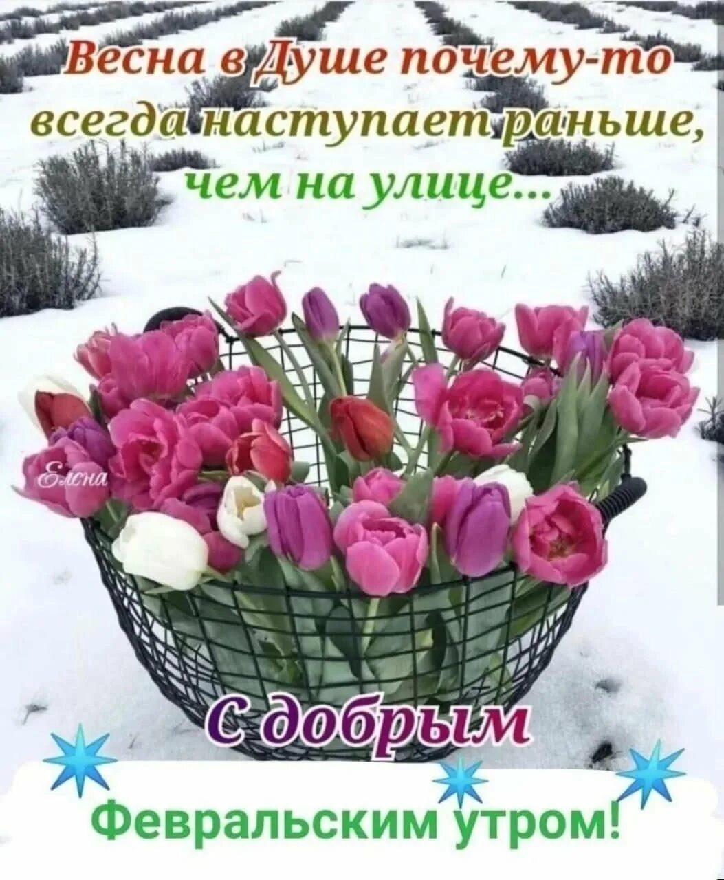 С добрым февральским утром здоровья добра. Пусть февральский д. Отличного февральского настроения. Доброго февральского дня и хорошего настроения. Открытки с добрым февральским утром.