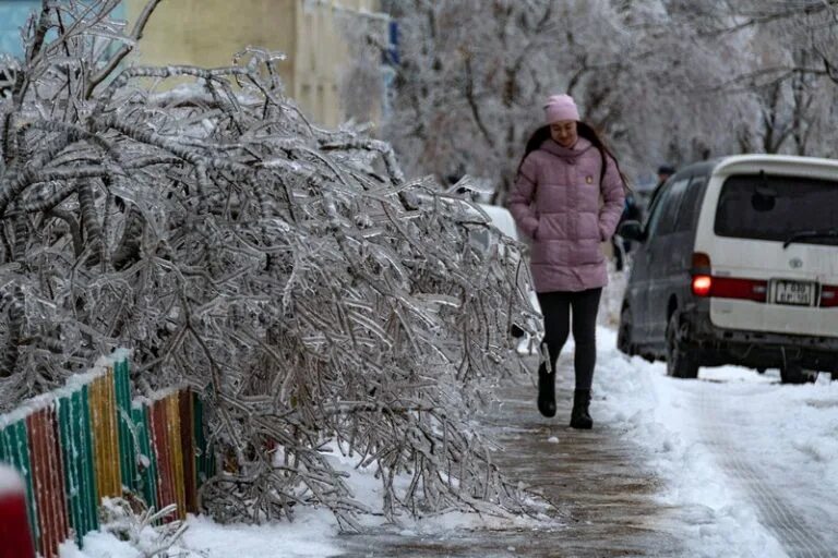 Ветер во Владивостоке. Владивосток погода фото. Владивосток погода зимой 2023. Погода Владивосток. Погода владивосток 17 февраля