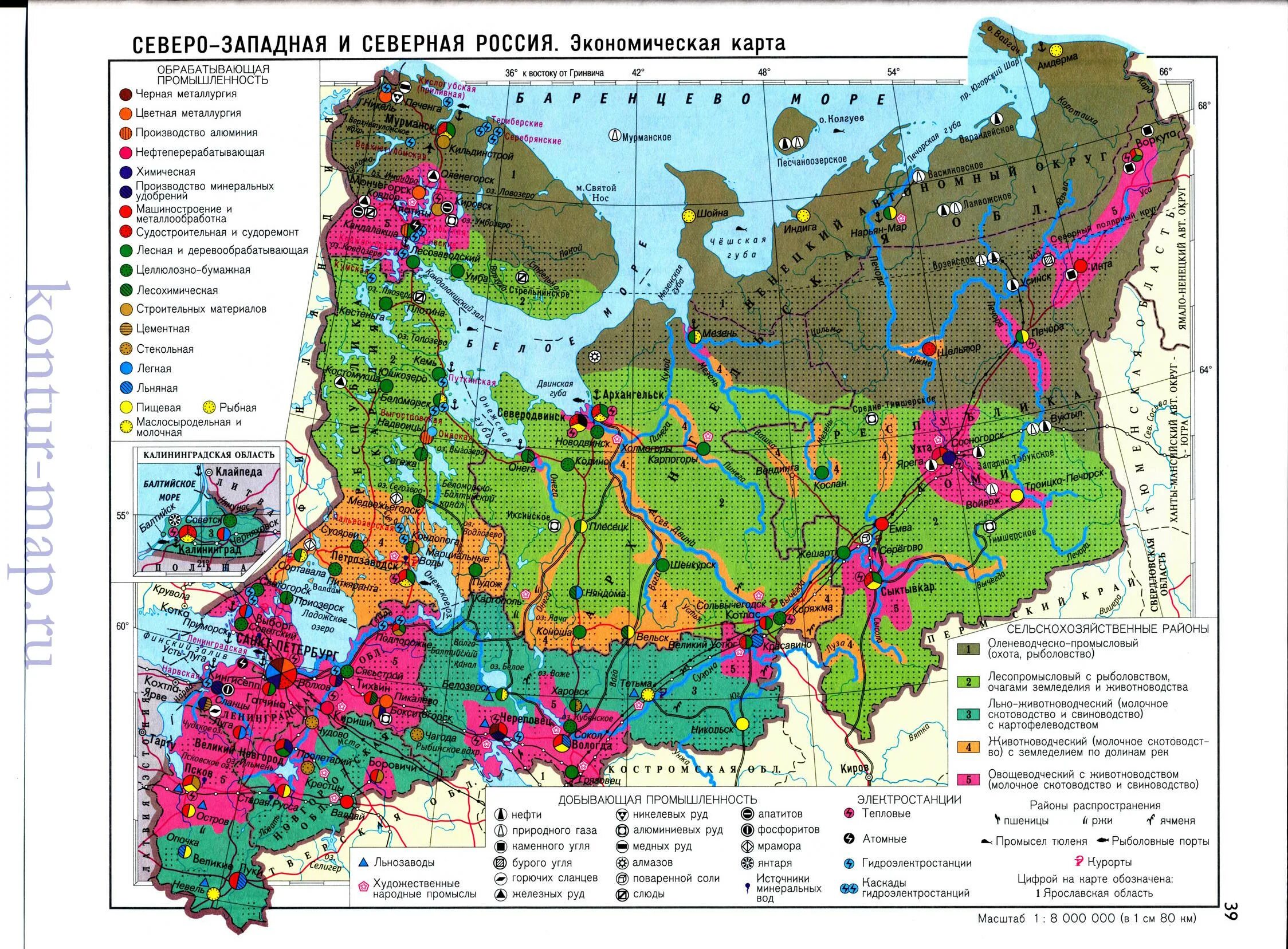 Северо-Западный федеральный округ экономическая карта. Экономические районы европейской России карта.