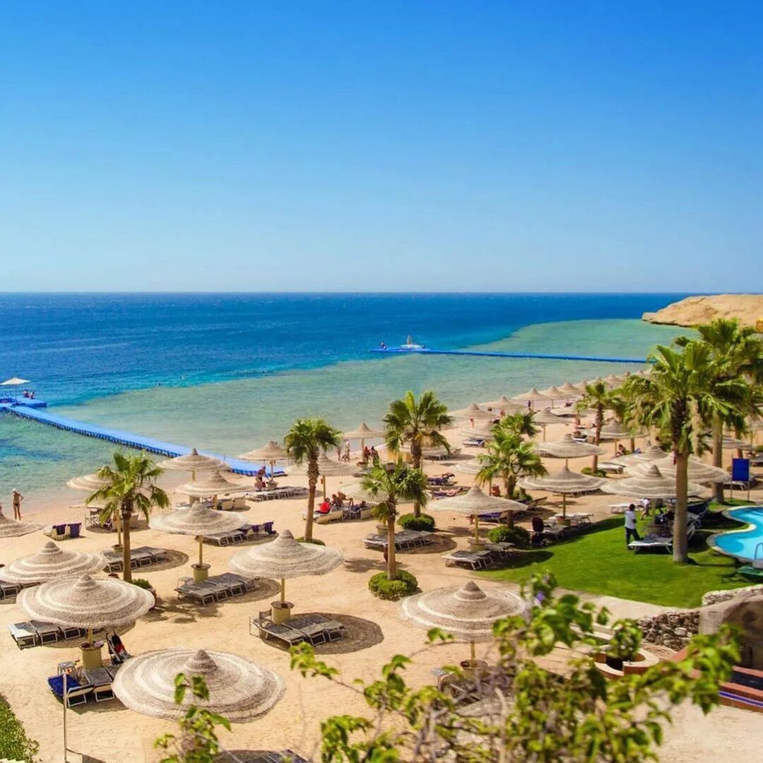 горящие туры в египет из новосибирска. горящие туры в египет из новосибирска. Oriental rivoli 4 египет шарм-эль-шейх. горящие туры в египет из новосибирска. горящие туры в египет из новосибирска.