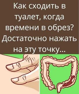 Как перехотеть по большому