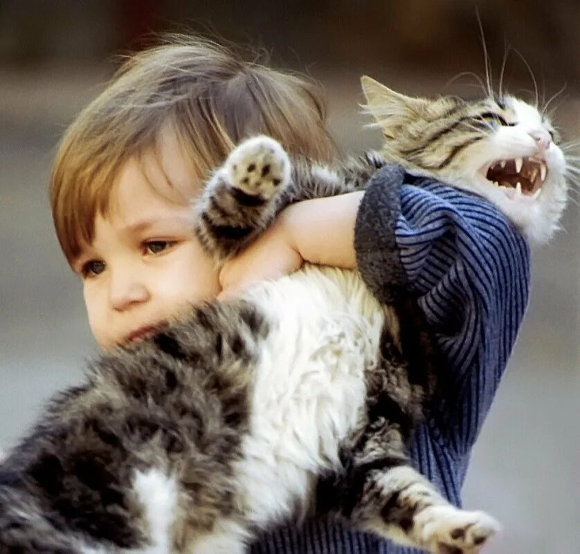 Кот не любит детей. Кот для детей. Дети и коты. Девочка обнимает кота. Для детей. Животные.