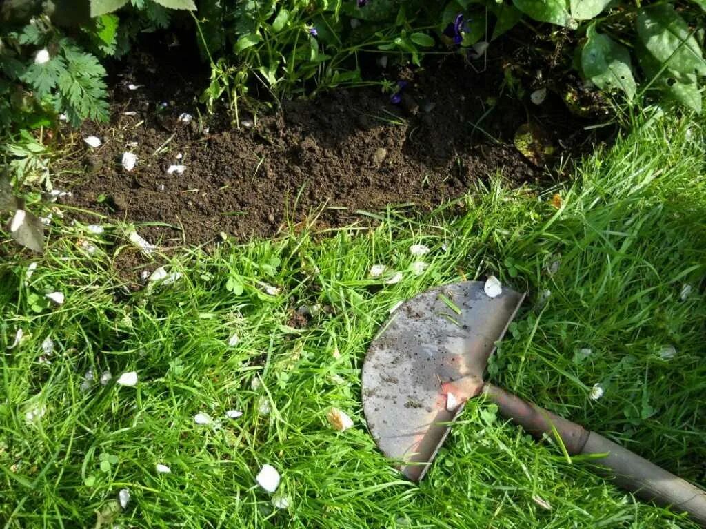 Уборка сорняков. Пестициды для борьбы с сорняками. Уничтожитель травы и сорняков. Сорная трава на огороде. Как избавиться от травы на участке.