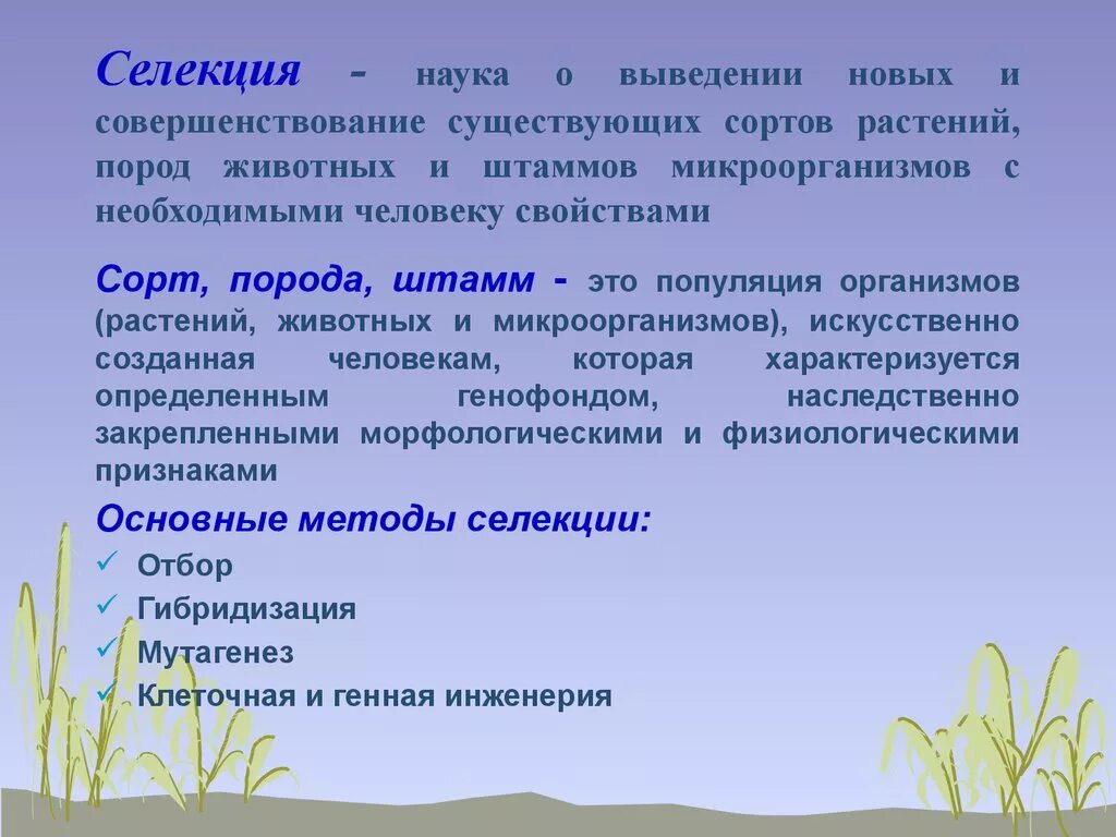 Селекция определение. Наука селекция растений. Селекция это наука о биология. Селекция это в биологии.