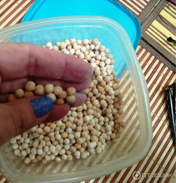 Горох вареный. Горох не разваривается что делать. Прессованный горох для супа. Яичная кашка. Горох разваривается.