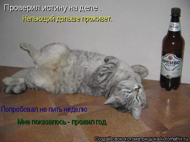 Пью неделю форум. Подайте на пиво. проверил истину на деле непьющий дольше. бухая неделя. подай мне пиво.