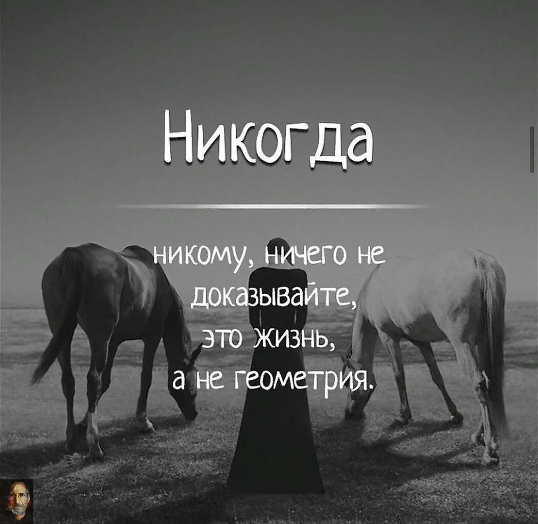 Ничего угадывай. Никогда ничего не доказывайте. Никогда ничего не доказывайте людям. Изображения со смыслом. Никому ничего не доказывай цитаты.