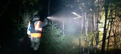 Я заблудилась в лесных оврагах