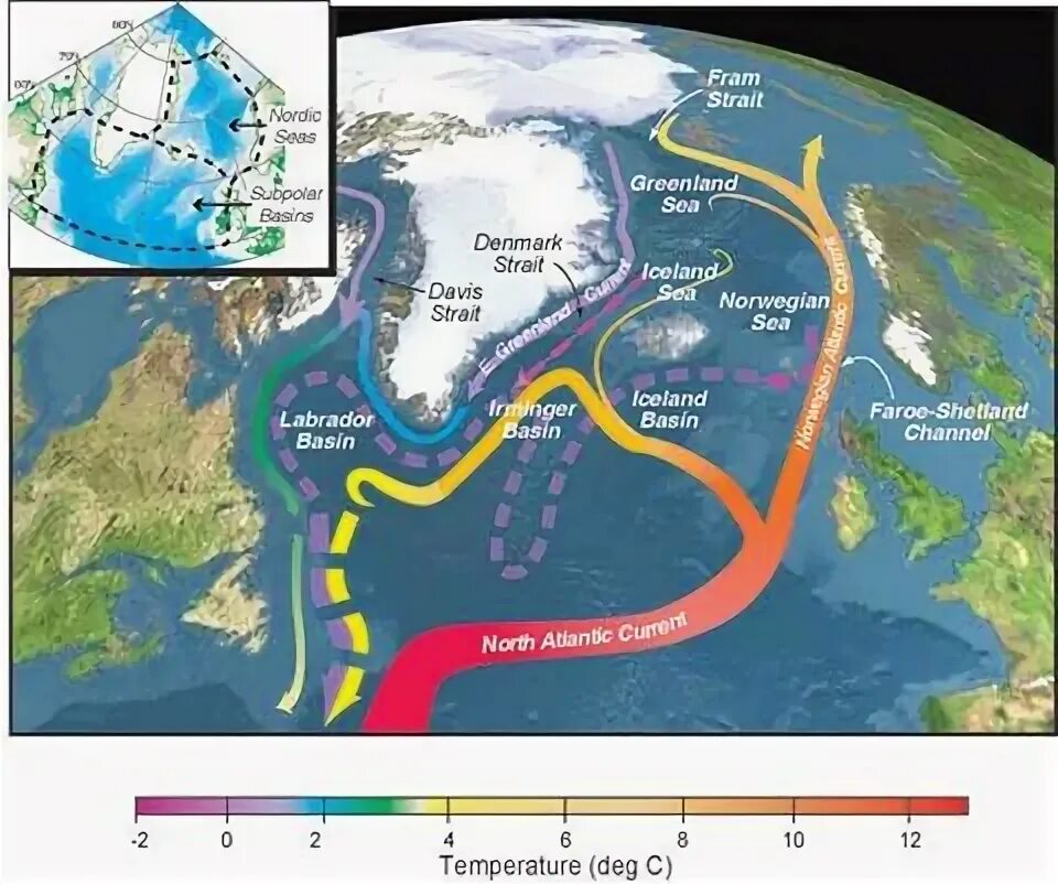 Теплое течение у восточных берегов. Норвегия Гольфстрим теплое течение. Гольфстрим 2023. Течение Гольфстрим на карте. Гольфстрим течения Атлантического океана.