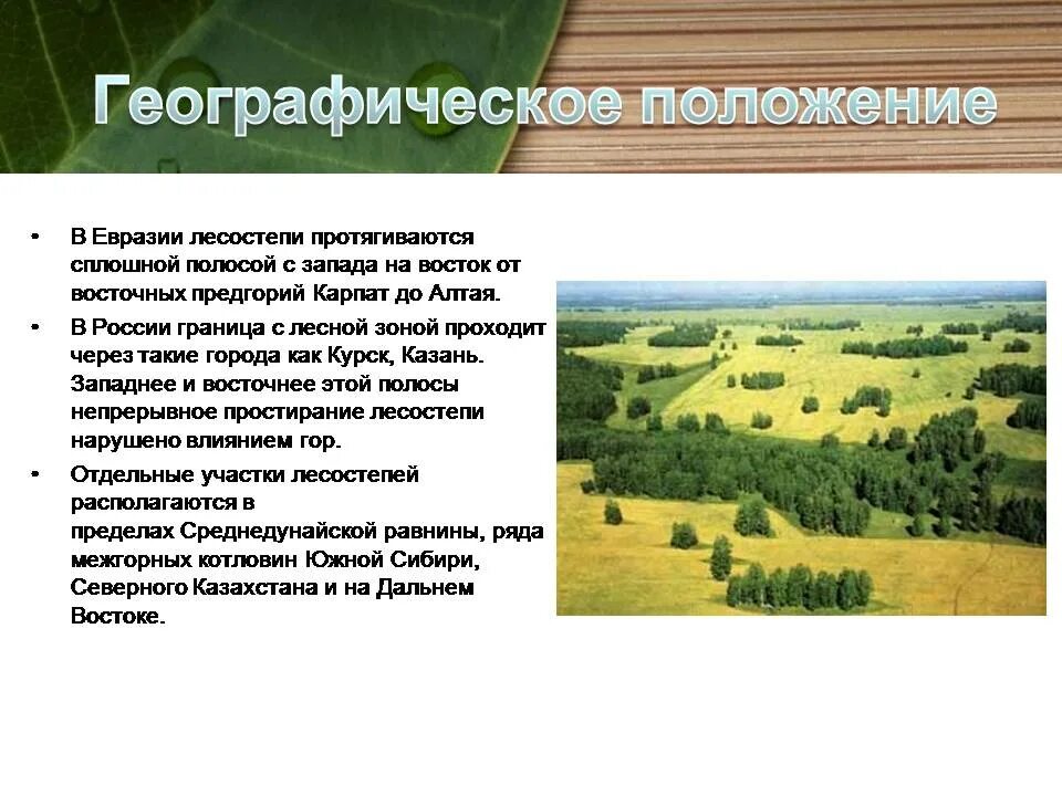 ГП лесостепной зоны в России. Географическое положение лесостепи в Евразии. Зоны лесостепей и степей географическое положение. Географическое положение лесостепи и степи в Евразии. Климат степей и лесостепей в россии