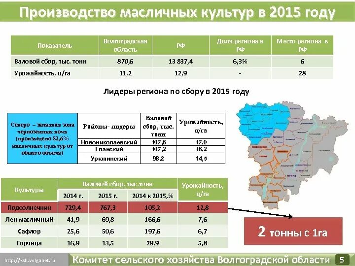 Мировой валовой сбор масличных культур. Масличные культуры Лидеры. Страны производители масличных культур. Производство масличных культур. Валовый сбор масличных