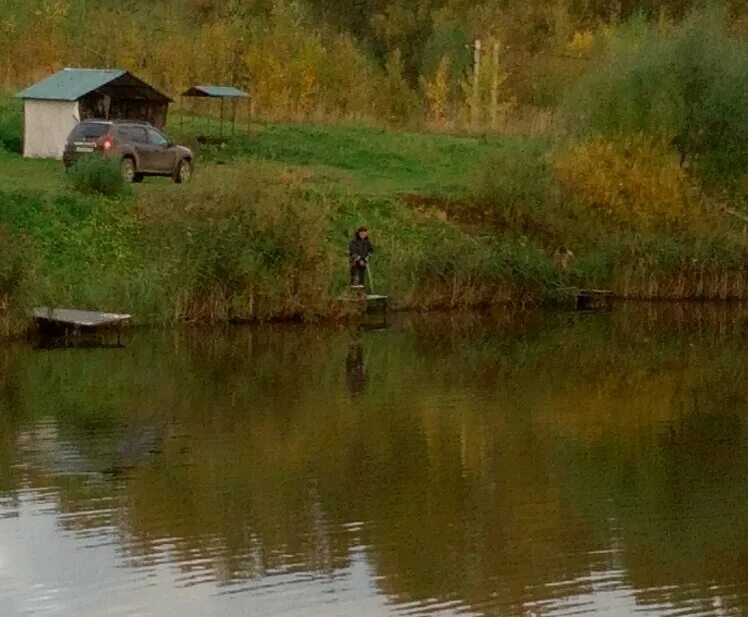 платная рыбалка бор. рыбалка вашутино химки. рыбалка вашутино химки. рыбалка возле шереметьево. платник вашутино.