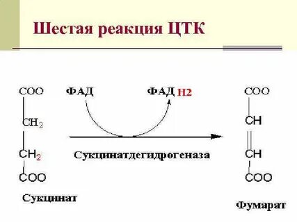 Реакция 6 букв
