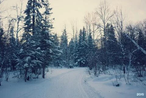 Славянские ижевск