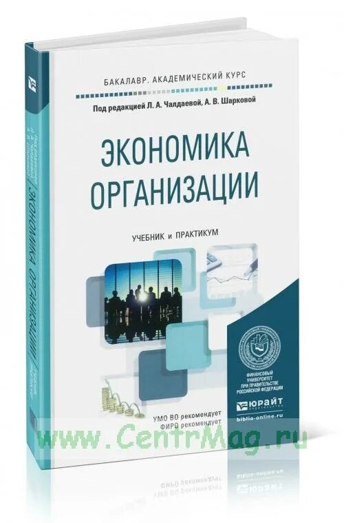 Экономика бакалавриат учебник. Практикум по экономике предприятия. Экономика организации зеленый учебник. Практикум по экономике предприятия с решениями. Экономика предприятия бакалавриат.