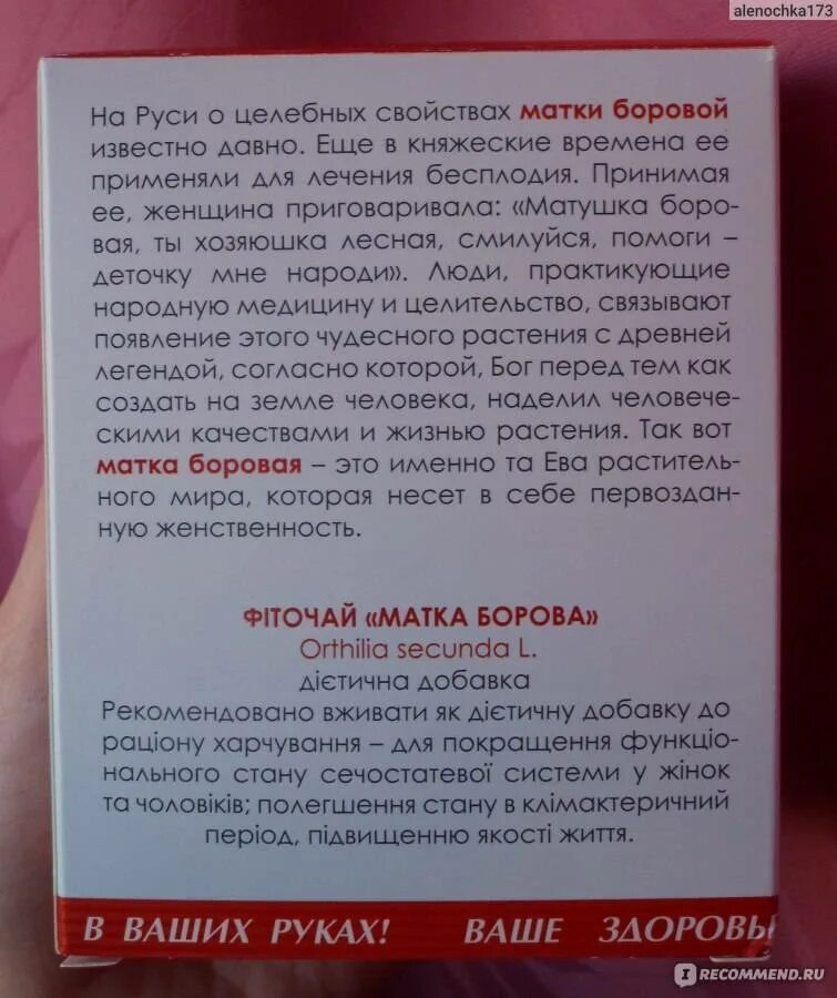 Боровая матка. Таблетки с Боровой маткой и красной щеткой. Отвар Боровой матки. Боровая матка и красная щетка. Как пить боровую матку и красную щетку